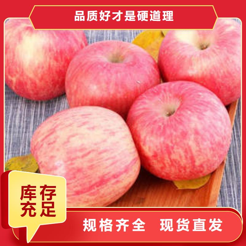 现货销售(景才)【红富士苹果】,嘎啦苹果发货及时