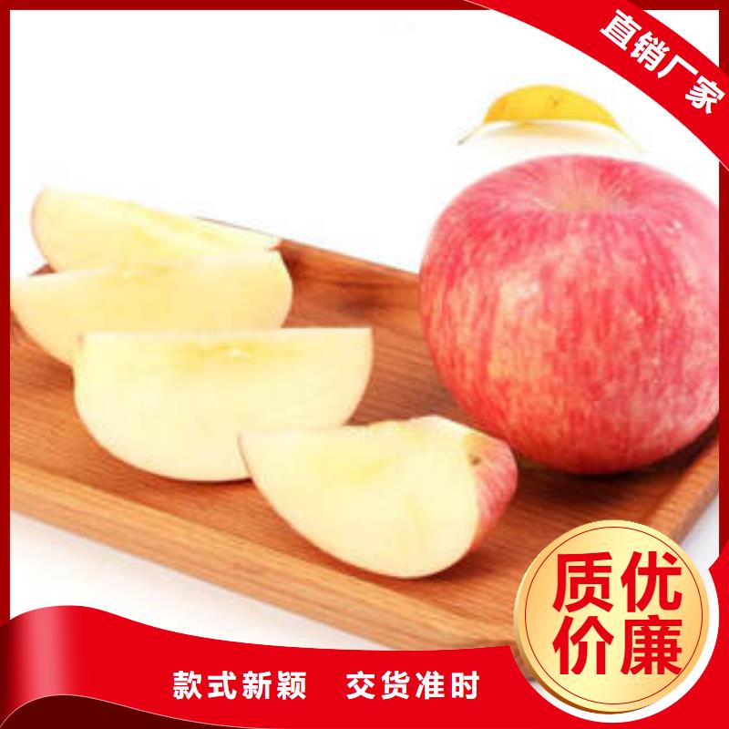 甄选：红富士苹果苹果种植基地高标准高品质