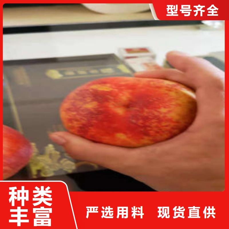 【桃树苗】蓝莓苗质量优价格低