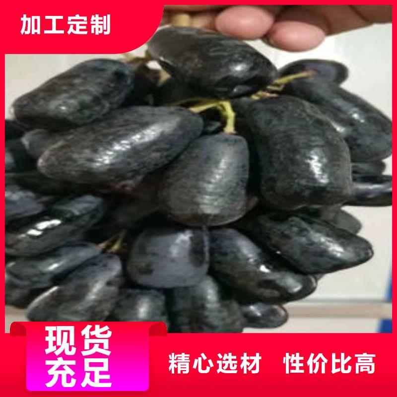 葡萄苗梨树苗原料层层筛选