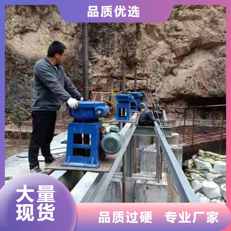 螺杆式启闭机_双吊点启闭机品种全