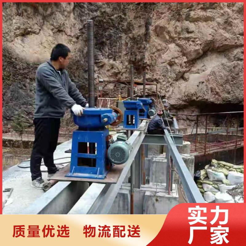 螺杆式启闭机侧摇启闭机支持大批量采购