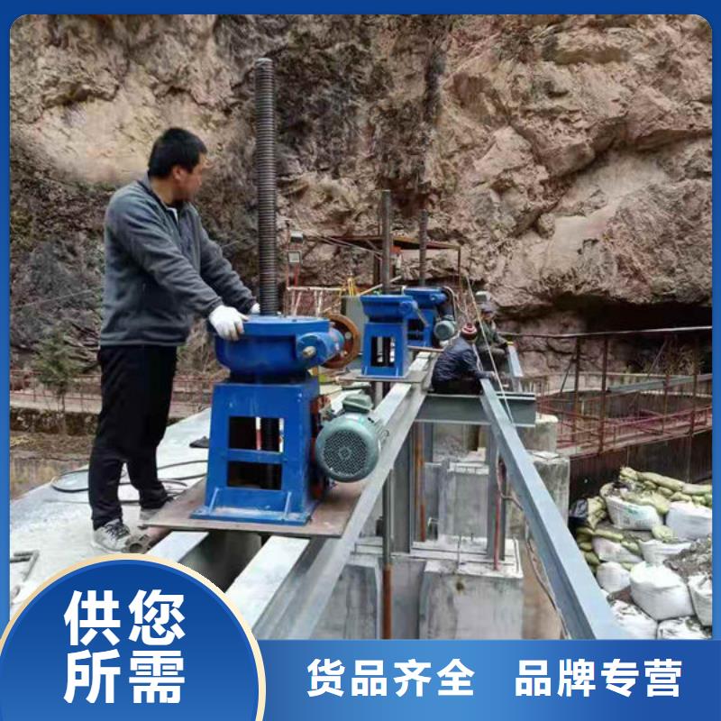 螺杆式启闭机双吊点启闭机型号全价格低