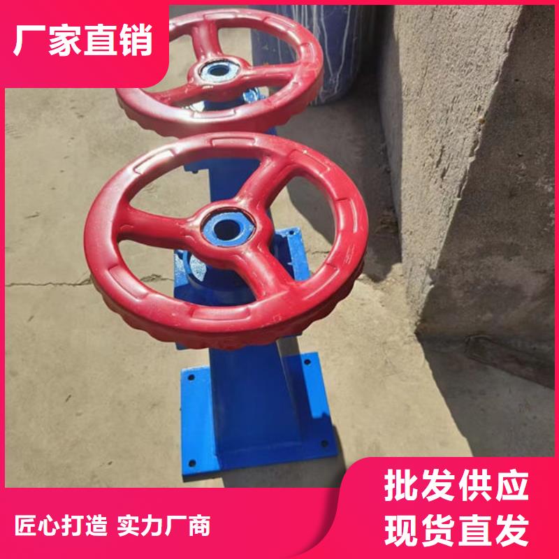 螺杆式启闭机,螺杆启闭机客户满意度高