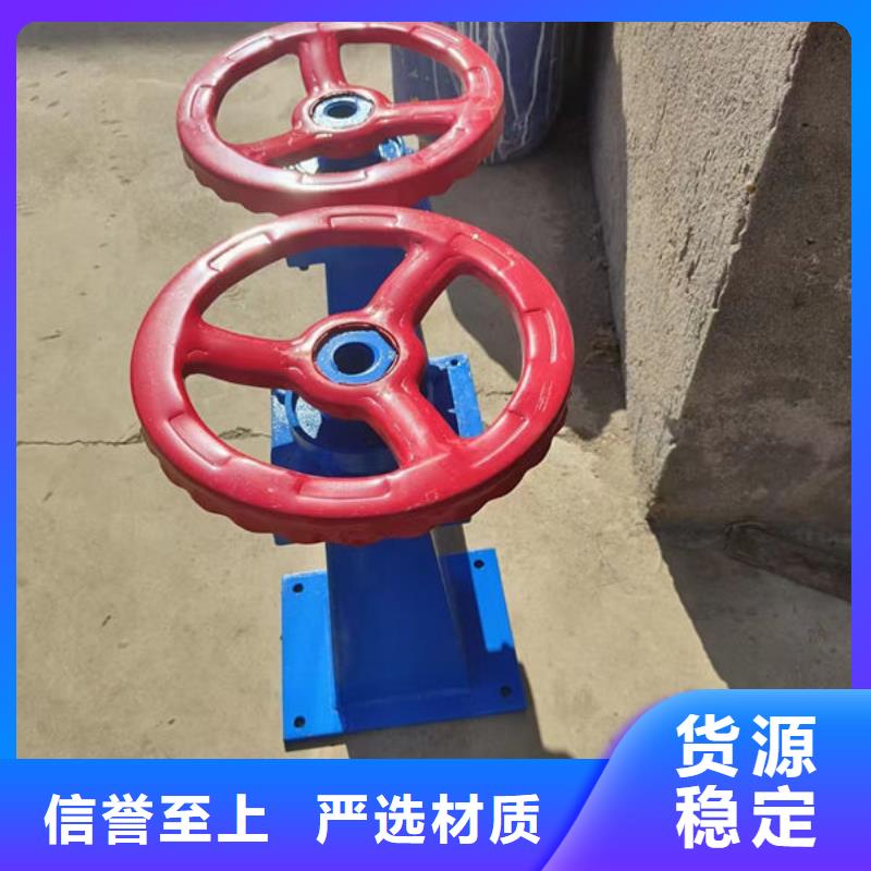 螺杆式启闭机启闭机闸门专注生产N年