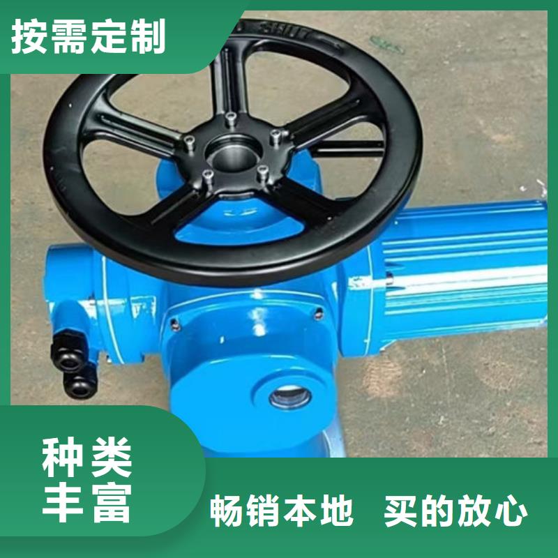 螺杆式启闭机-斜拉式启闭机支持批发零售