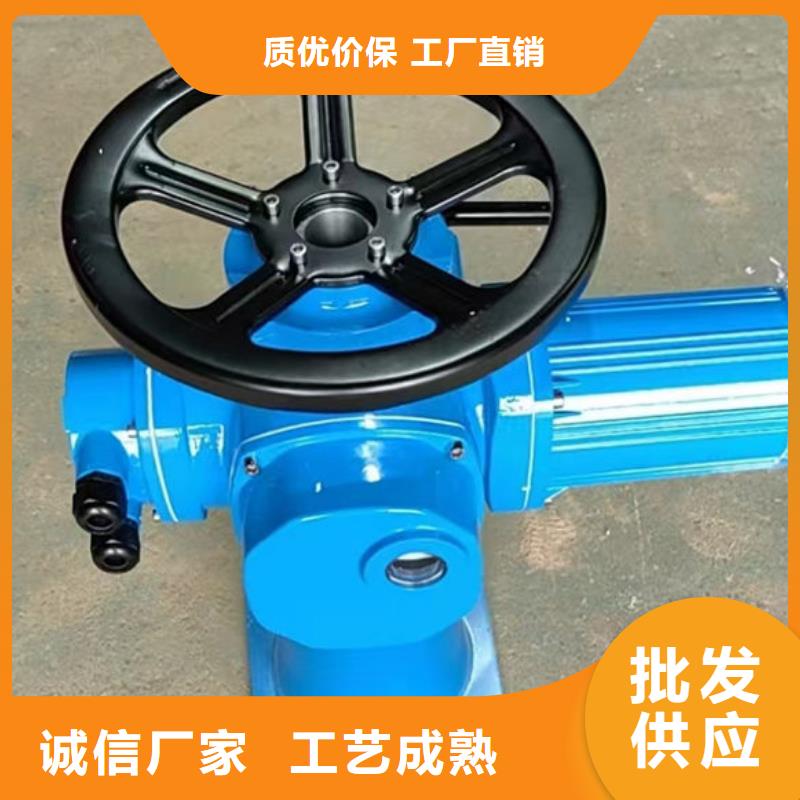 螺杆式启闭机启闭机闸门现货销售