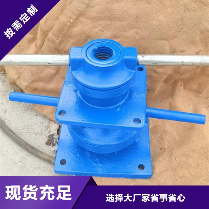 螺杆式启闭机双吊点启闭机精心
