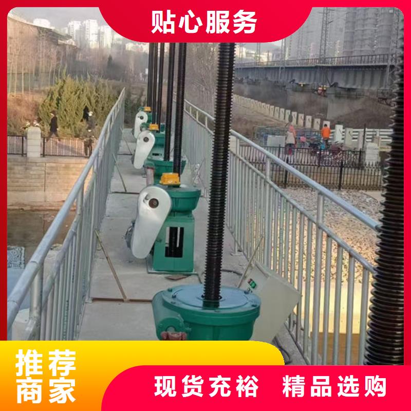 螺杆式启闭机双吊点启闭机厂家现货供应