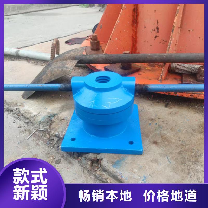 螺杆式启闭机双吊点启闭机厂家现货供应