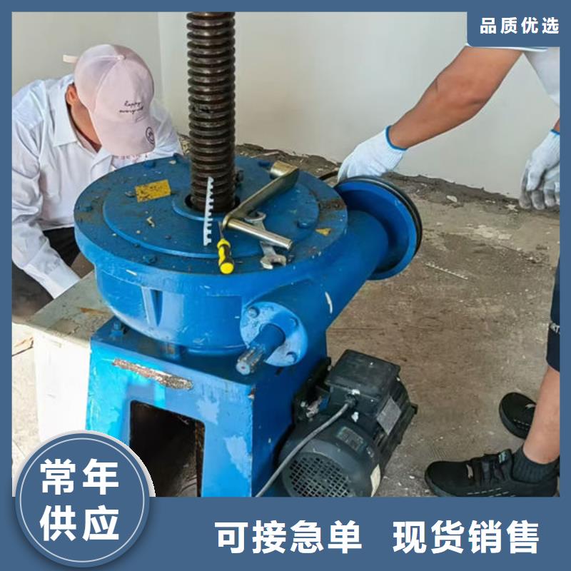 螺杆式启闭机双吊点启闭机厂家现货供应