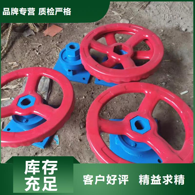 螺杆式启闭机手轮启闭机细节决定成败