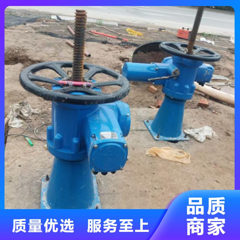 螺杆式启闭机_手摇启闭机来图来样定制