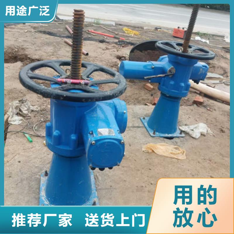螺杆式启闭机_双吊点启闭机品种全
