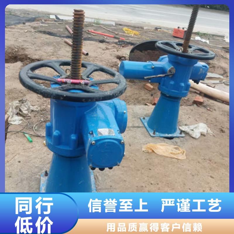 螺杆式启闭机侧摇启闭机您想要的我们都有