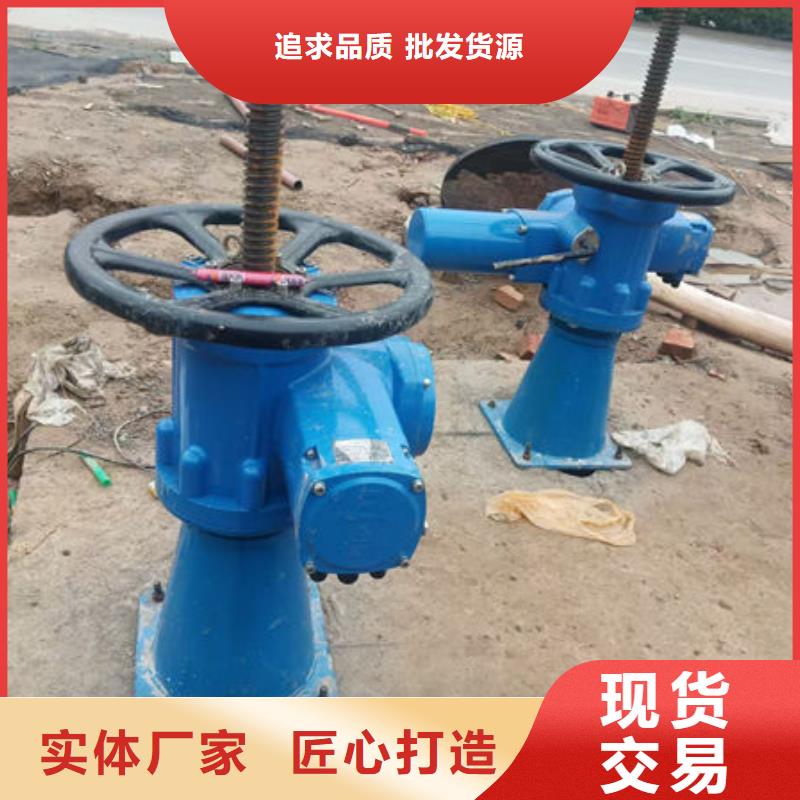螺杆式启闭机-双吊点启闭机细节决定成败