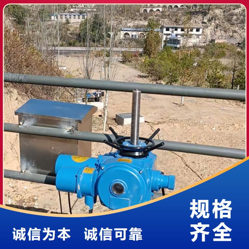 螺杆式启闭机双吊点启闭机精心