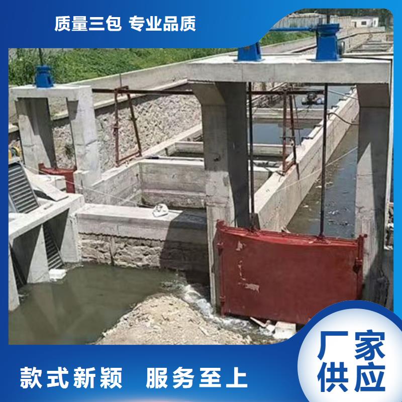 铸铁闸门,河道铸铁闸门常年供应