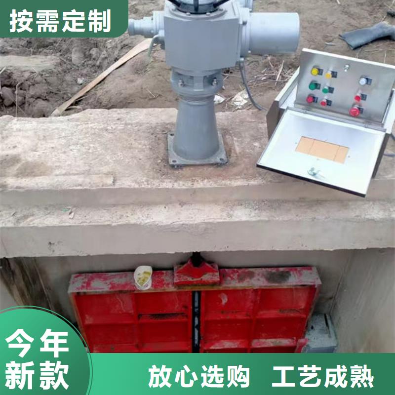 铸铁闸门河道铸铁闸门实地大厂