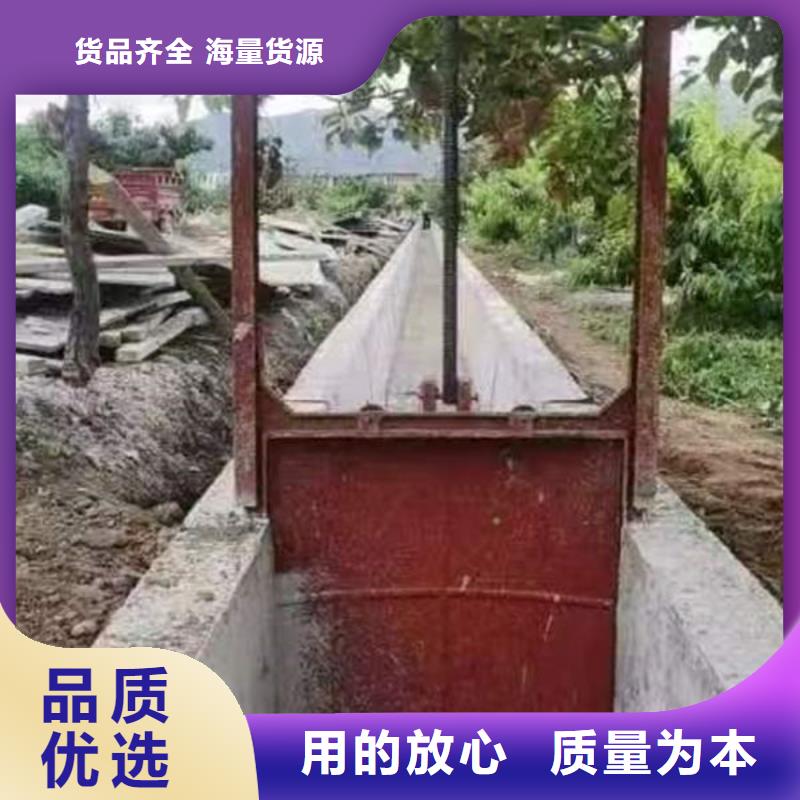 铸铁闸门,水电站铸铁闸门快速发货