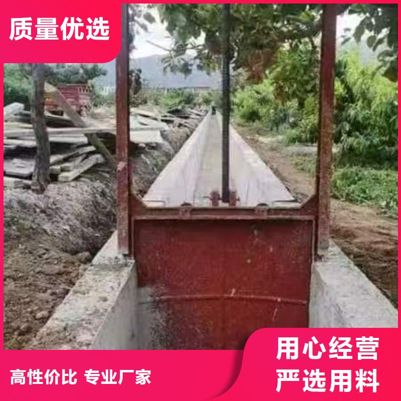 铸铁闸门河道铸铁闸门实地大厂