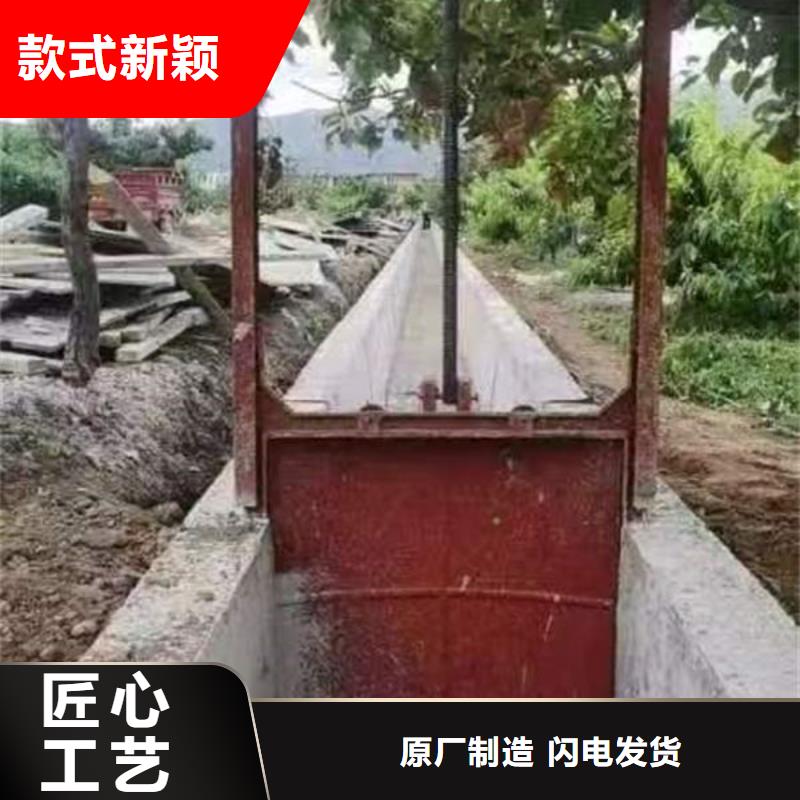 铸铁闸门复合闸门用心经营