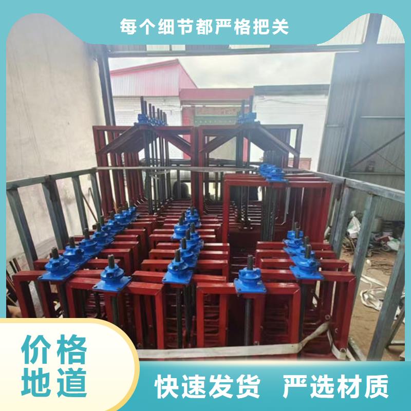 铸铁闸门_镶铜铸铁闸门本地配送