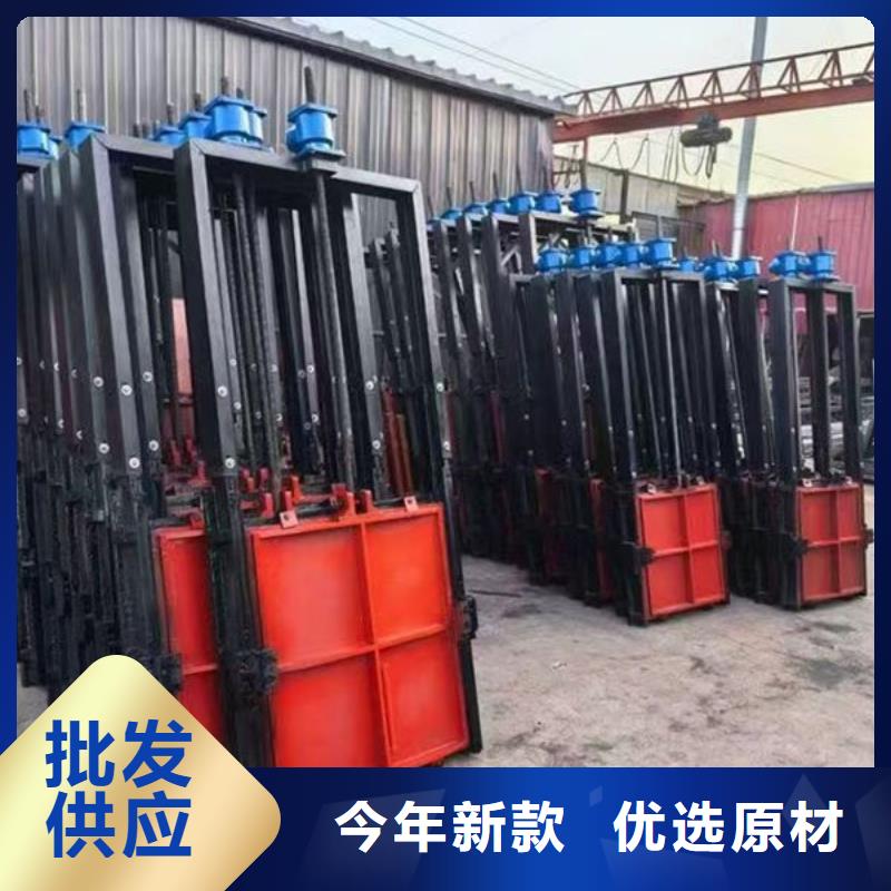 铸铁闸门_镶铜铸铁闸门本地配送