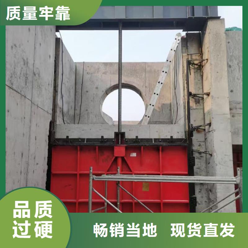 铸铁闸门-手提铸铁闸门今年新款