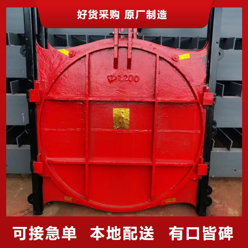 铸铁闸门_镶铜铸铁闸门本地配送