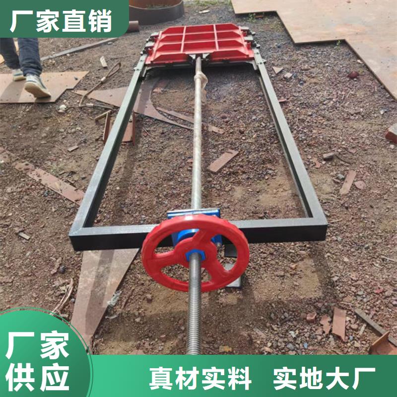 铸铁闸门镶铜铸铁闸门产地工厂