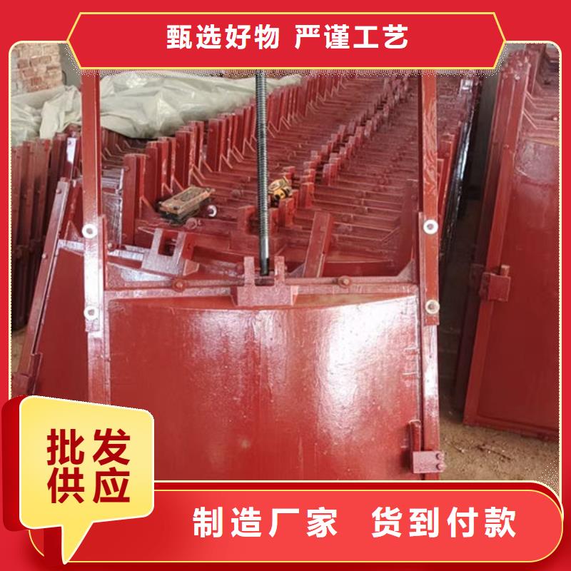 铸铁闸门,水电站铸铁闸门快速发货