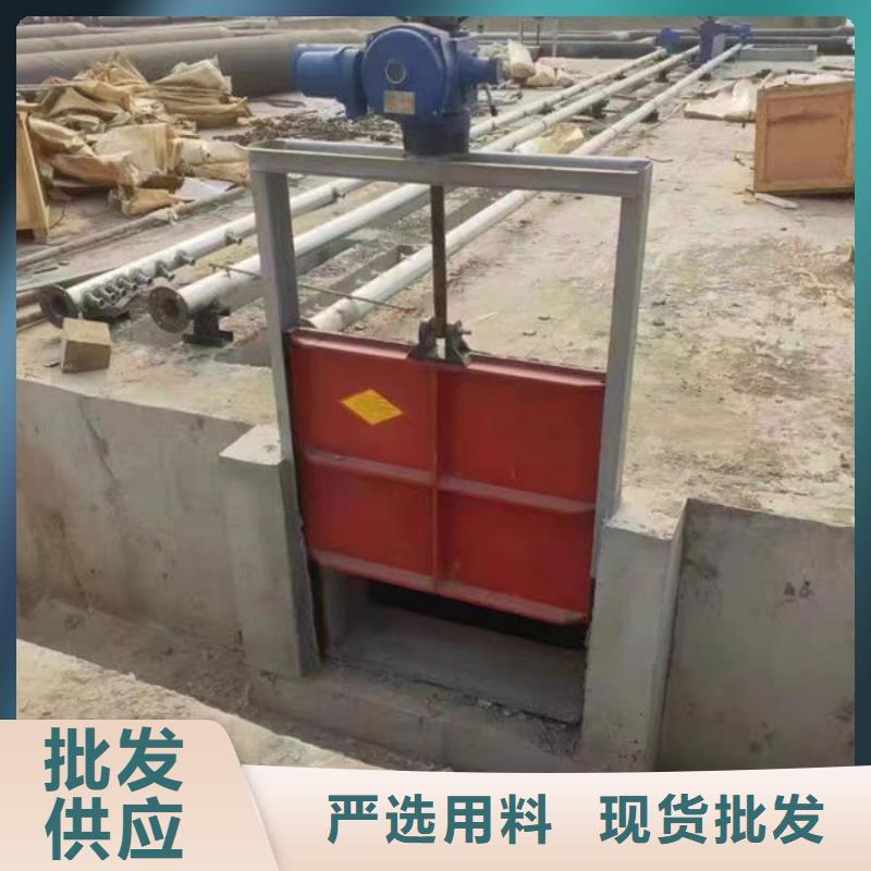 铸铁闸门_镶铜铸铁闸门本地配送