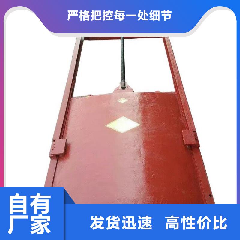 铸铁闸门镶铜铸铁闸门产地工厂