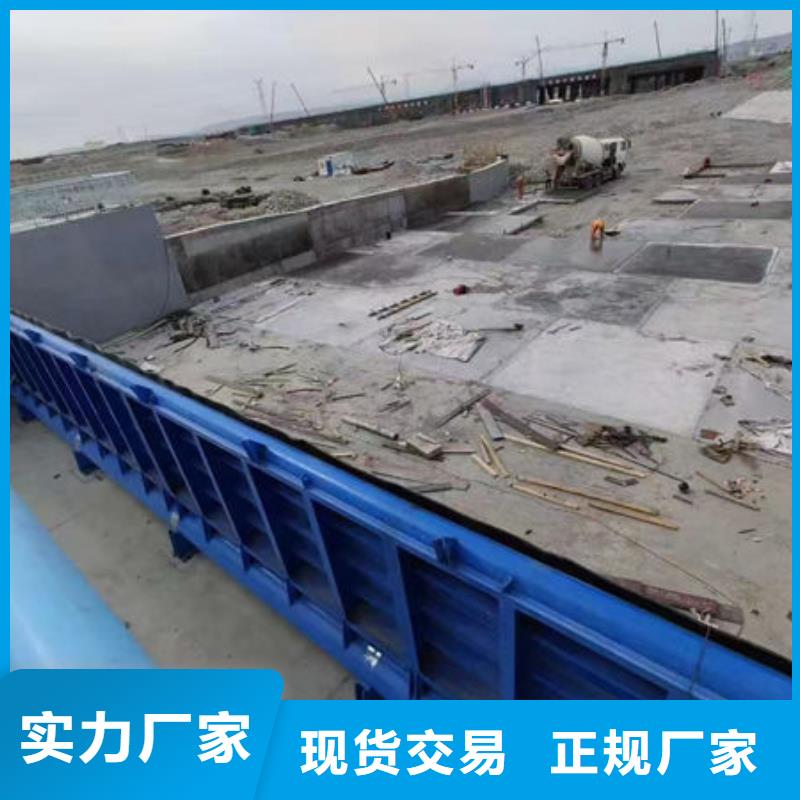 钢坝闸门_泵站上卧式闸门制造厂家