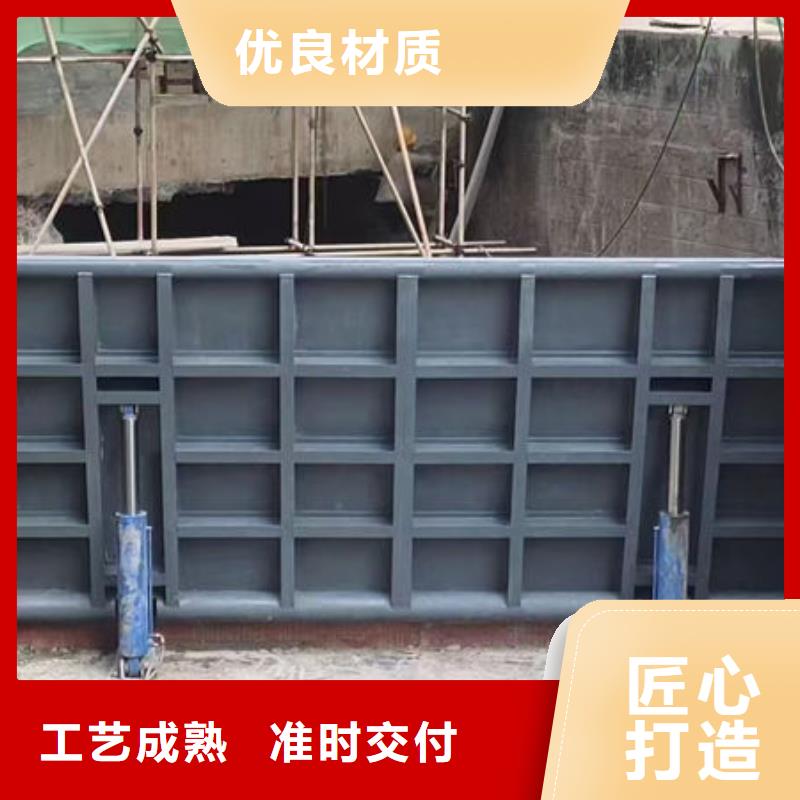 钢坝闸门_泵站上卧式闸门源厂直销