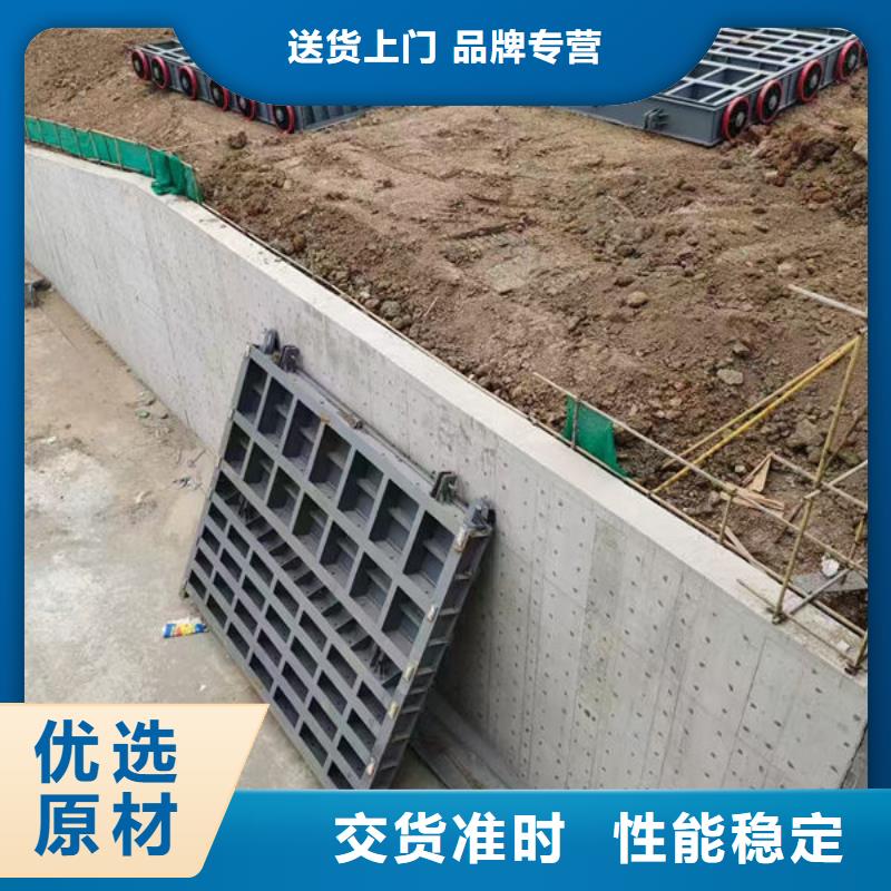 钢坝闸门平板钢闸门工厂自营
