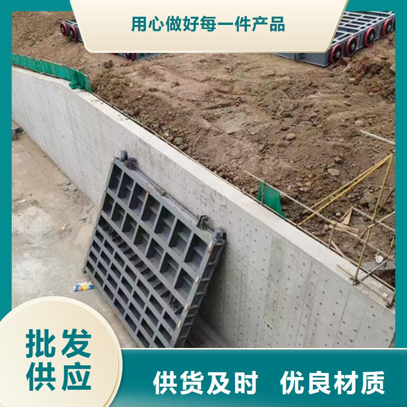 钢坝闸门液压钢坝检验发货