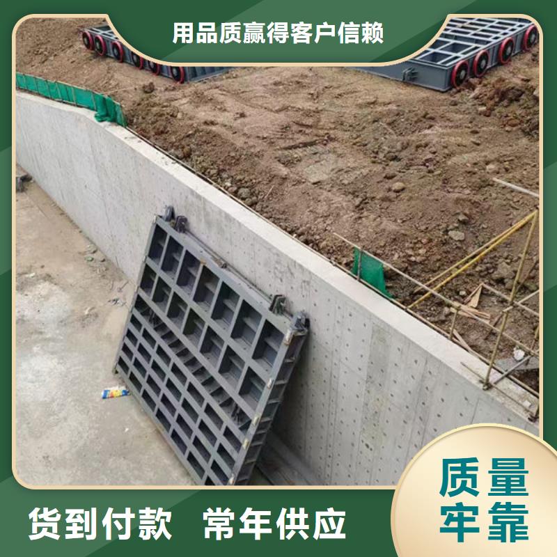 钢坝闸门平板钢闸门自主研发