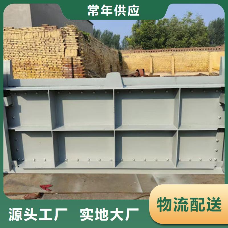 钢坝闸门叠梁门实体诚信厂家