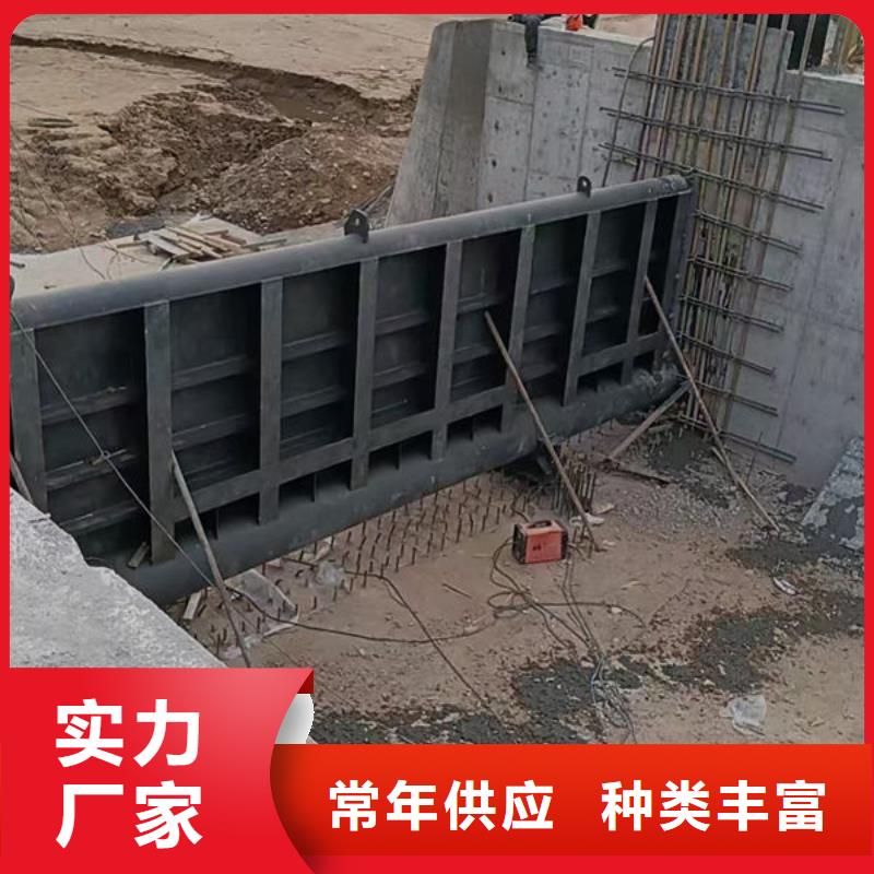 钢坝闸门-自动抓梁为品质而生产