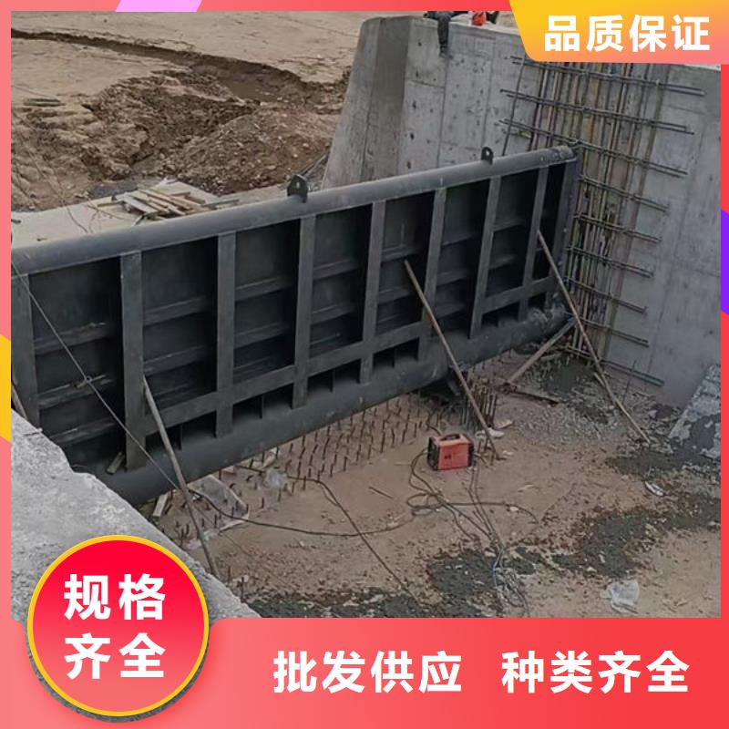 钢坝闸门叠梁门好品质选我们