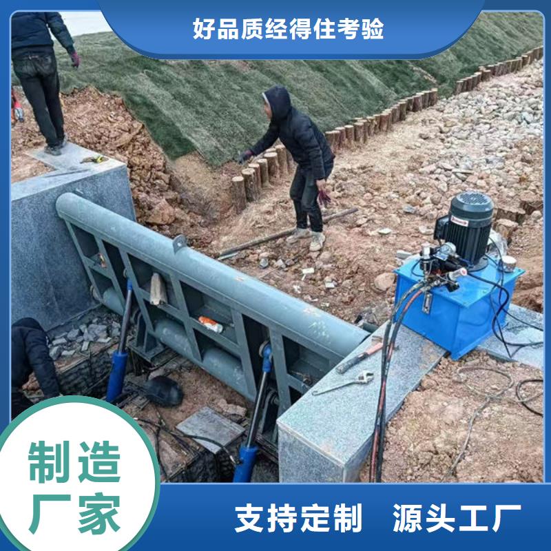 钢坝闸门泵站上卧式闸门用心制造