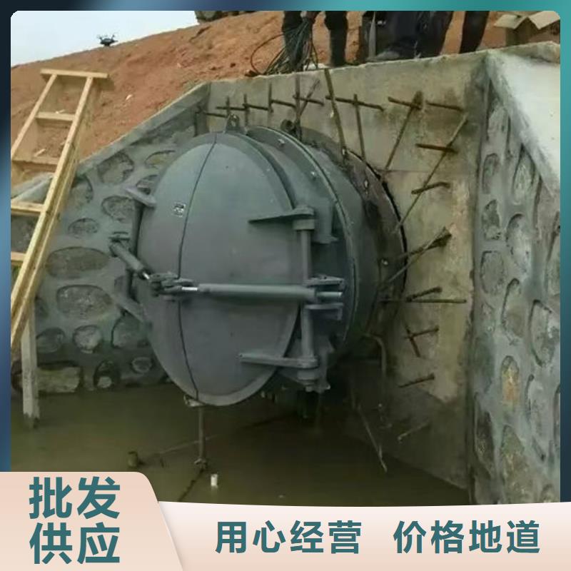 拍门不锈钢拍门价格实惠工厂直供
