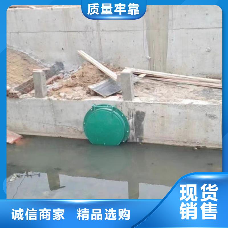 拍门防倒灌拍门优质原料