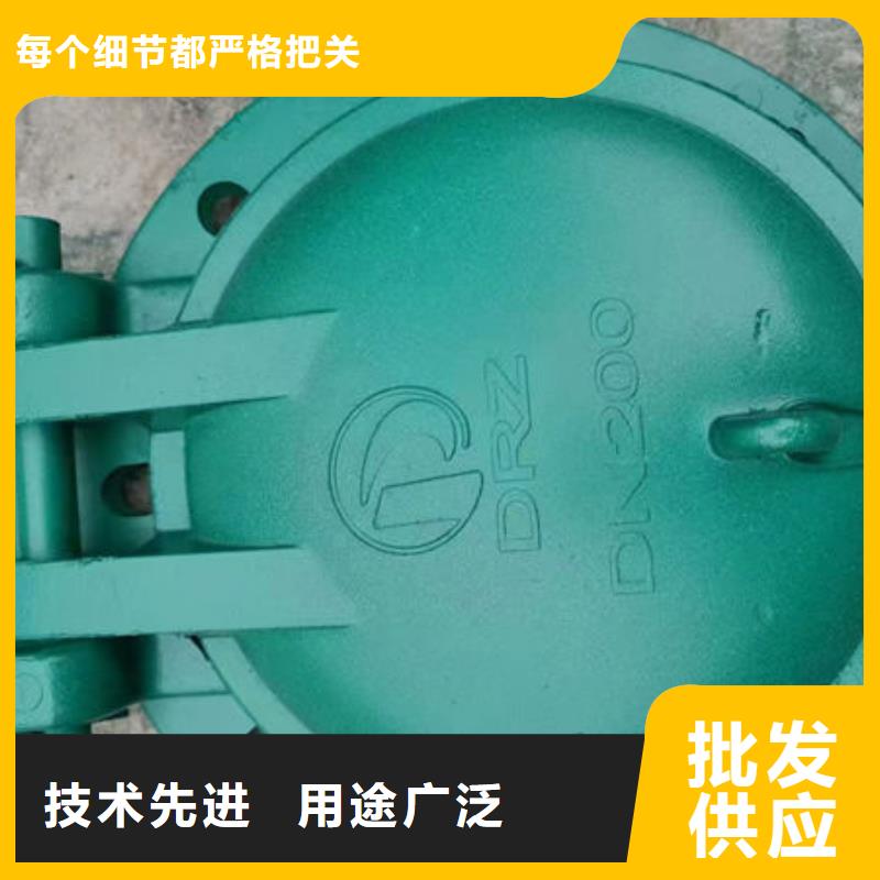拍门球墨铸铁拍门诚信经营质量保证