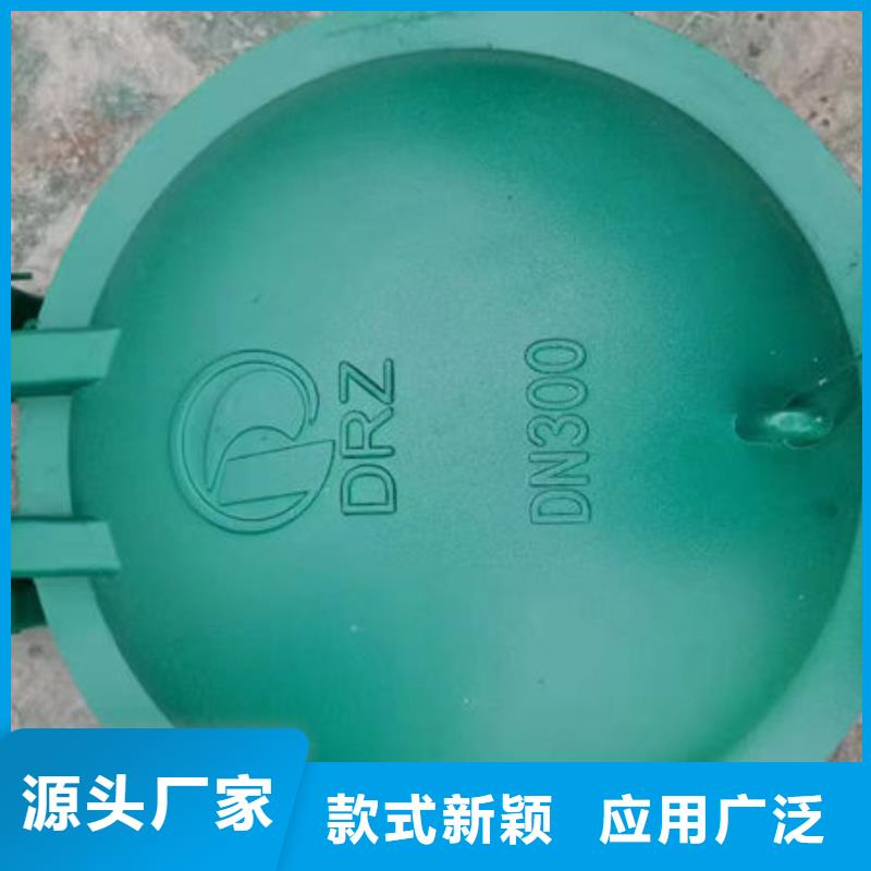 拍门不锈钢拍门细节展示