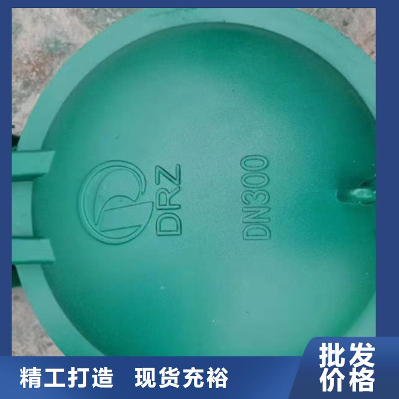 拍门钢拍门实力见证