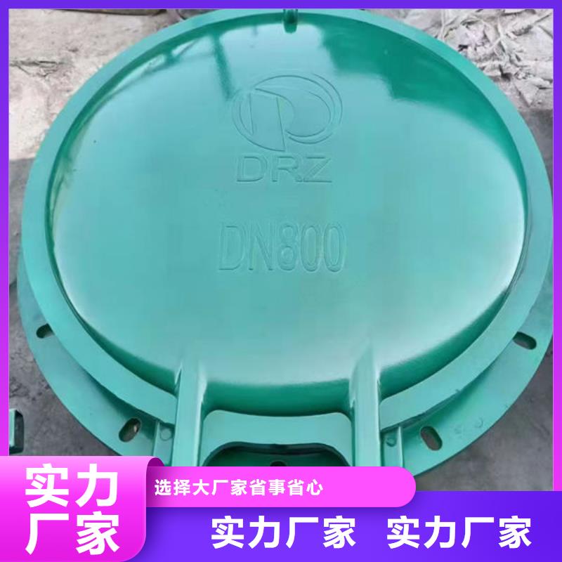 拍门-防倒灌拍门按需设计