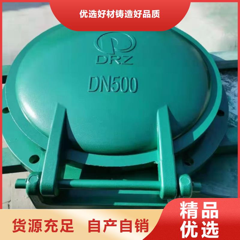 拍门球墨铸铁拍门性价比高